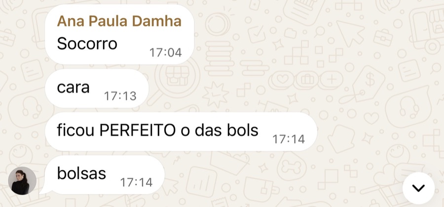 Print de WhatsApp: Socorro, cara, ficou PERFEITO o das bolsas